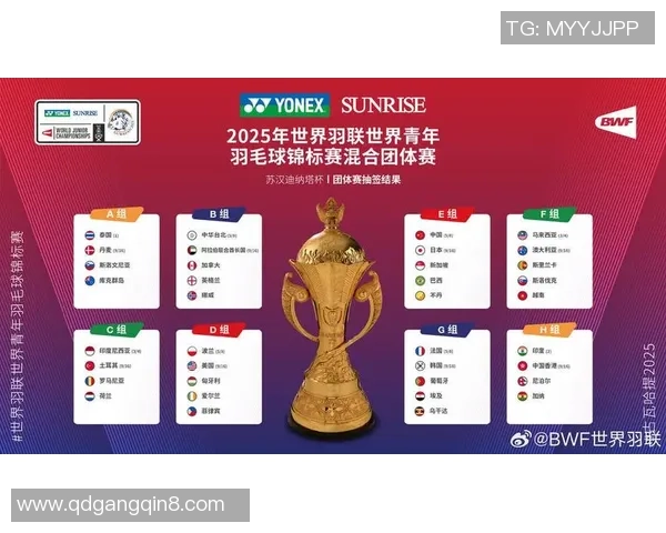 2025国际羽联巡回赛总决赛小组抽签揭晓，国羽队员分组局势不错